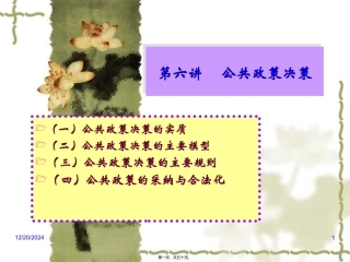 2010张宇公共政策第六讲政策决策