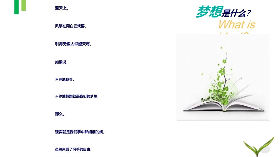 当理想照进现实-主题班会_第3页