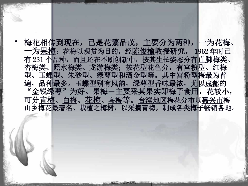 班会梅花香自苦寒来1_第3页