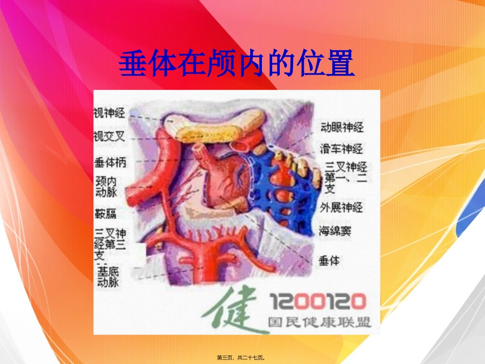 PPT-垂体瘤精讲_第3页