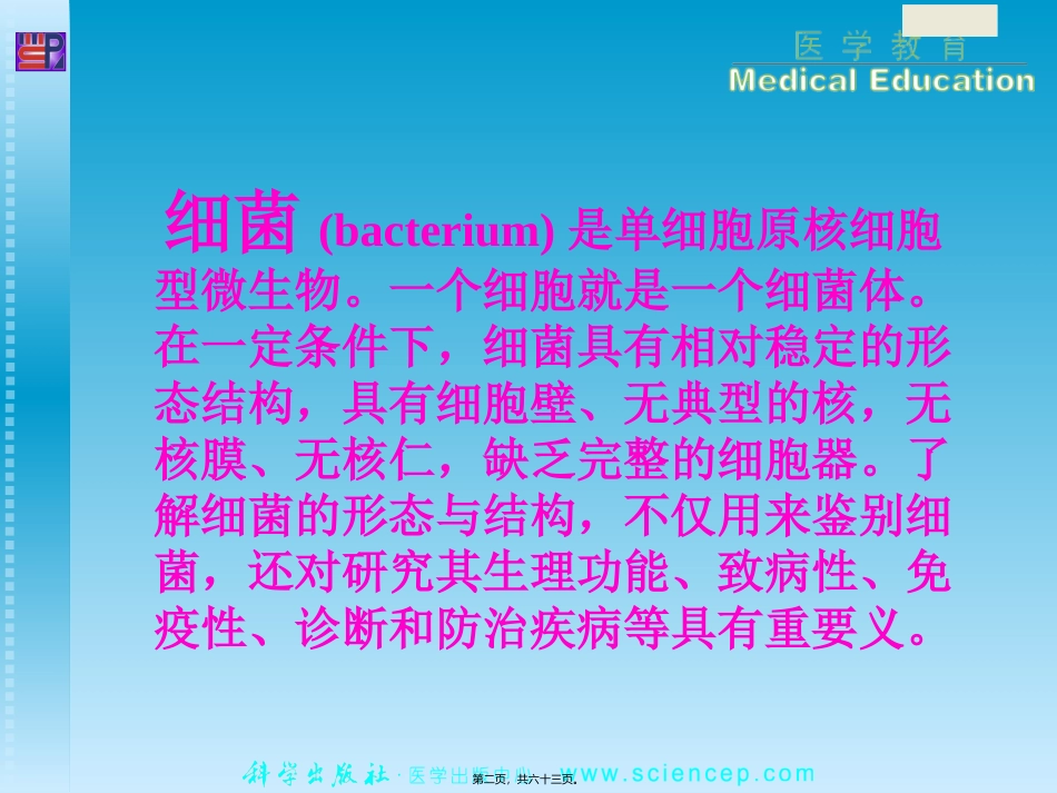 PPT第1章细菌的形态与结构_第2页