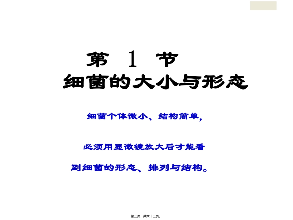 PPT第1章细菌的形态与结构_第3页