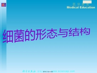 PPT第1章细菌的形态与结构