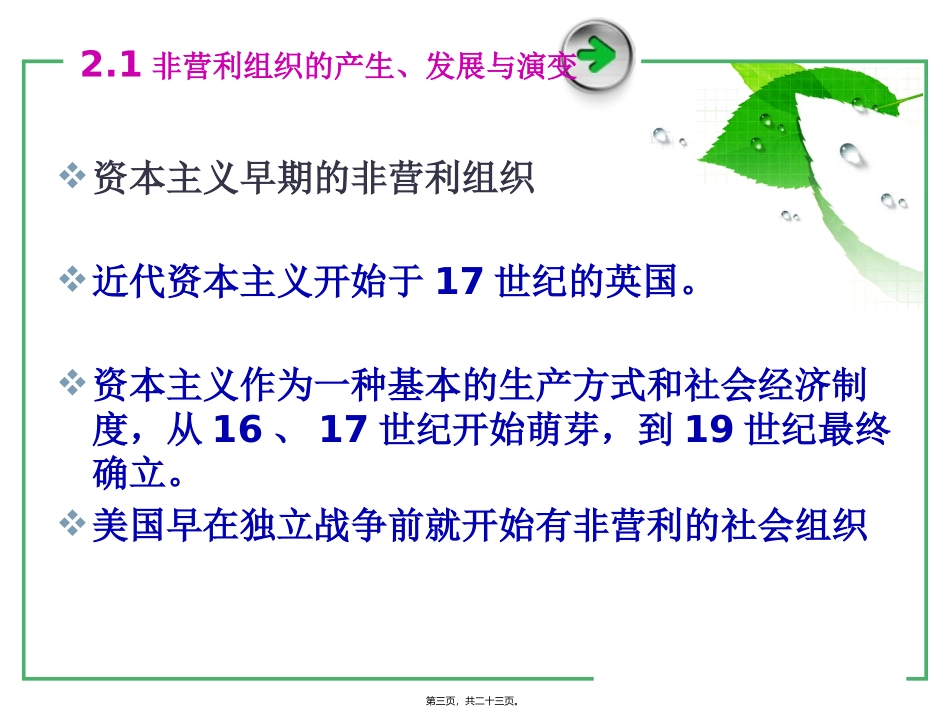 PPT--第二章-境外的非营利组织_第3页