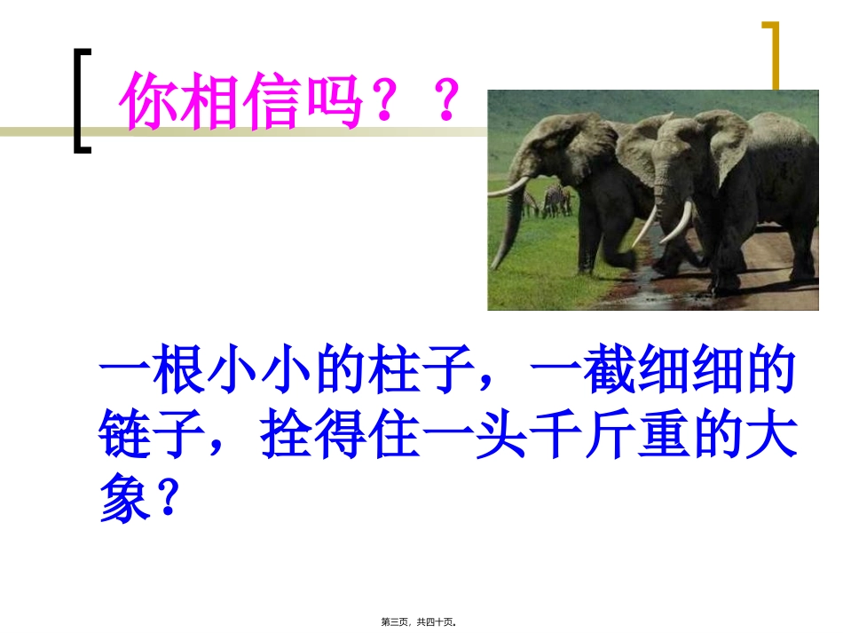 ppt关于习惯的主题班会。。。。_第3页