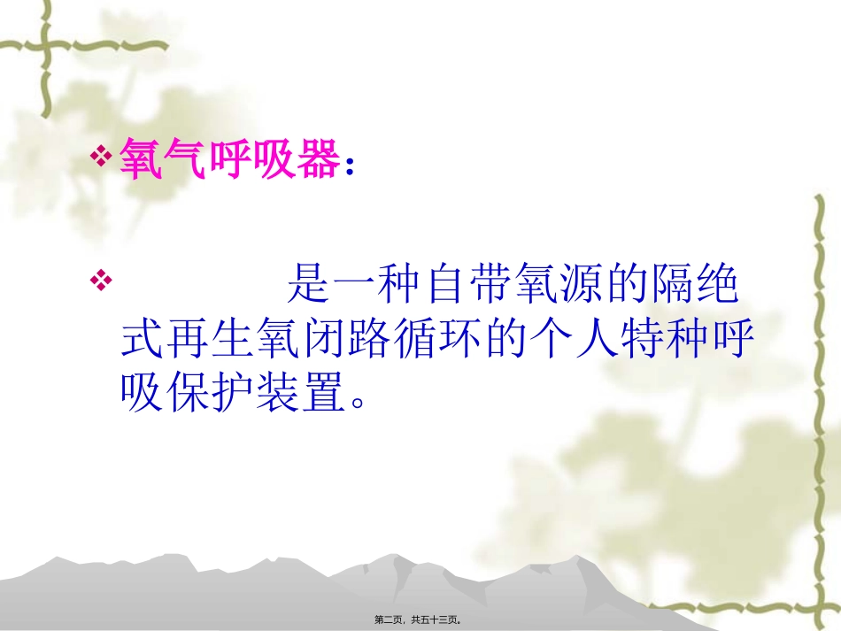 HYZ4正压氧气呼吸器(舱式)精要_第2页