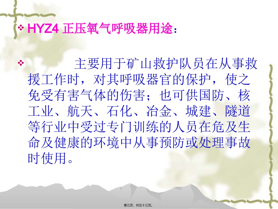 HYZ4正压氧气呼吸器(舱式)精要_第3页