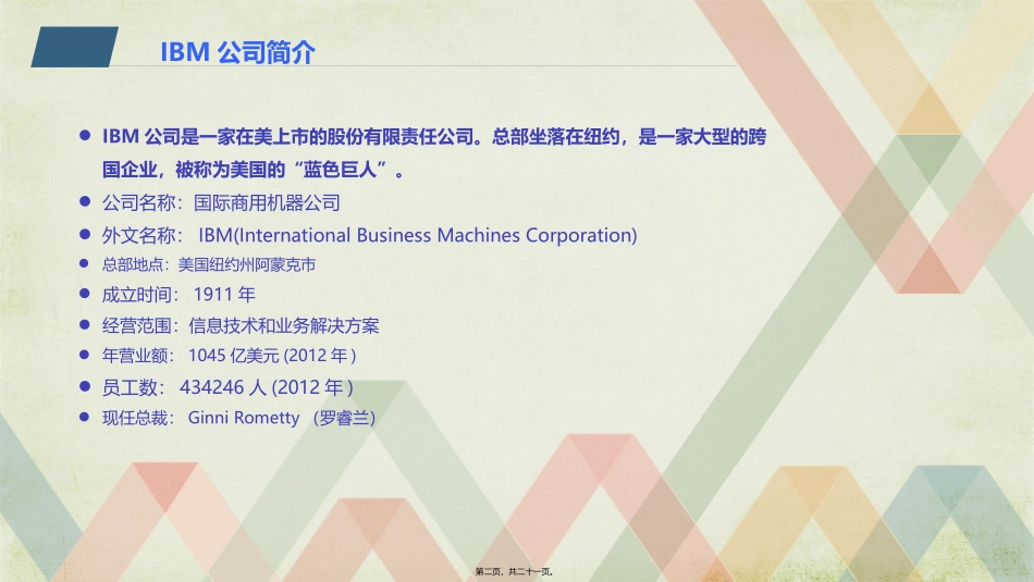 IBM的组织结构及股权结构_第2页