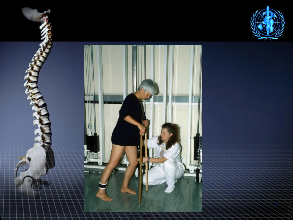 ICF在脊髓损伤的应用-励建安_第2页