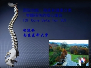 ICF在脊髓损伤的应用-励建安