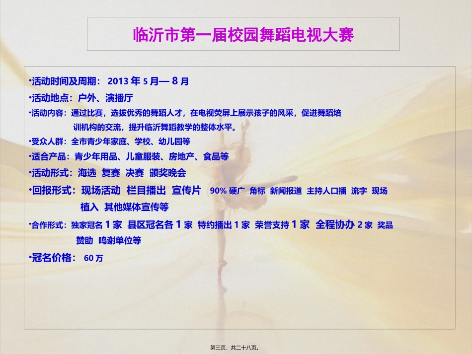 2014大型活动资源_第3页