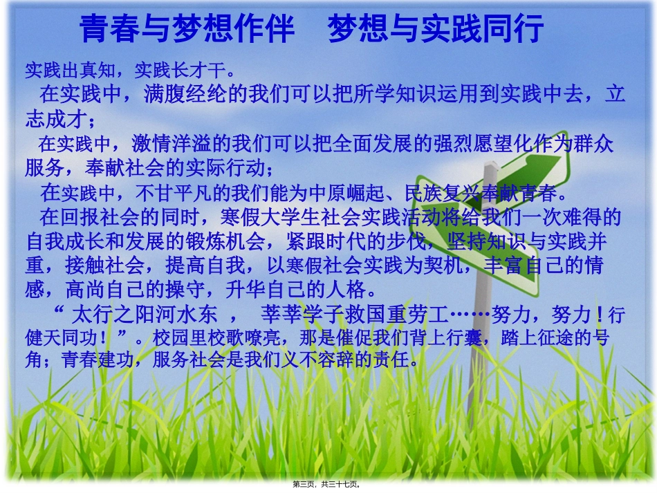 2014寒假实践宣讲PPT_第3页