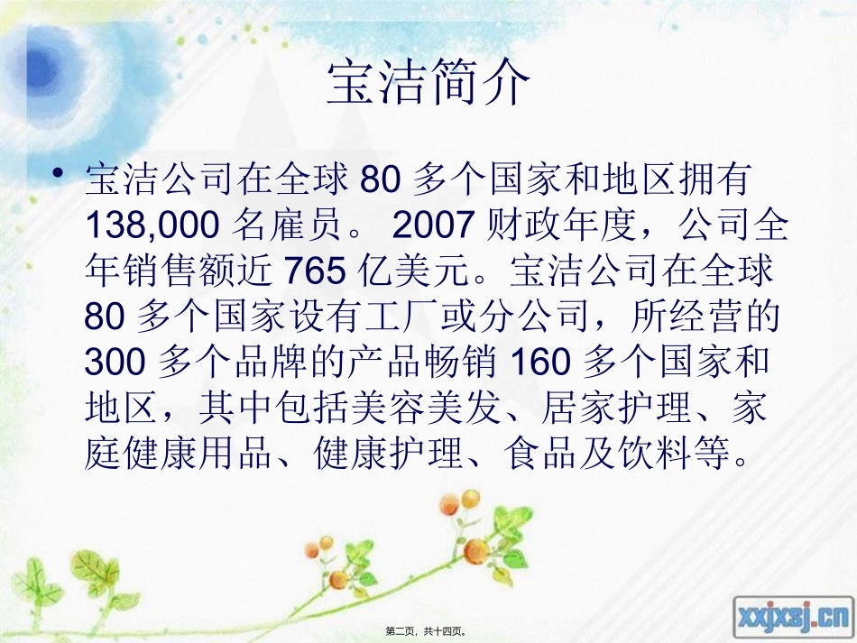 宝洁组织结构_第2页