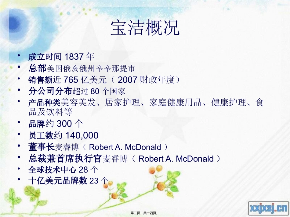 宝洁组织结构_第3页