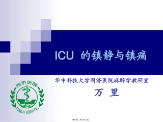 ICU-的镇静与镇痛