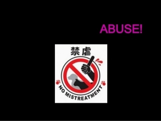 保护动物宣传演讲英文版