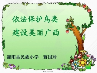 保护鸟类主题班会