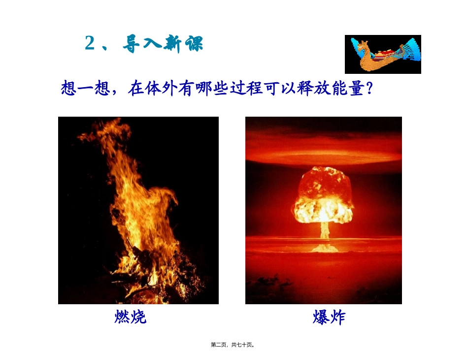 ATP的主要来源——细胞呼吸-(共69张ppt)_第2页