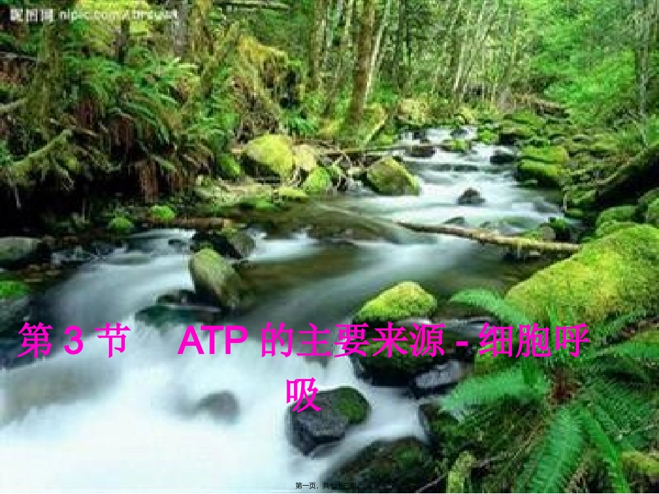 ATP的主要来源-细胞呼吸(上课)综述_第1页