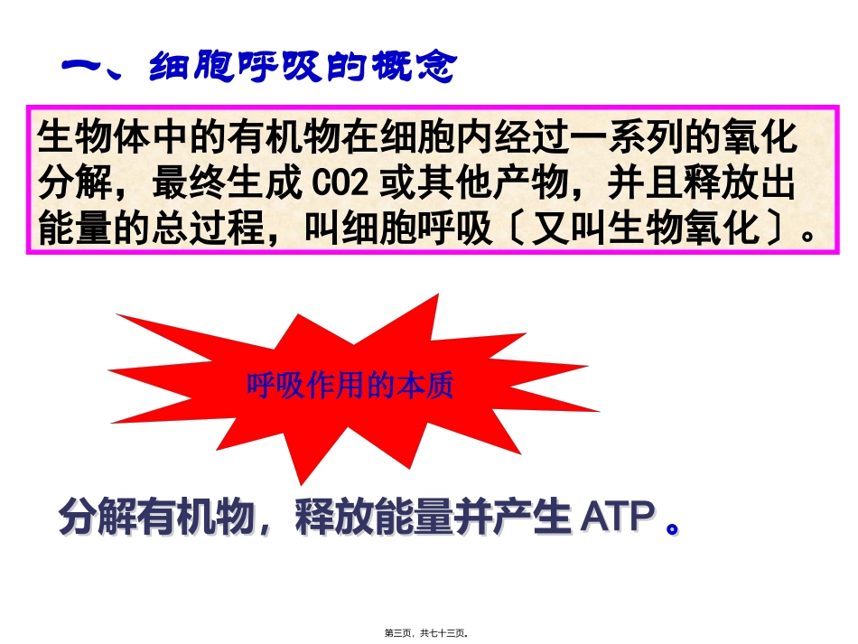 ATP的主要来源-细胞呼吸(上课)综述_第3页