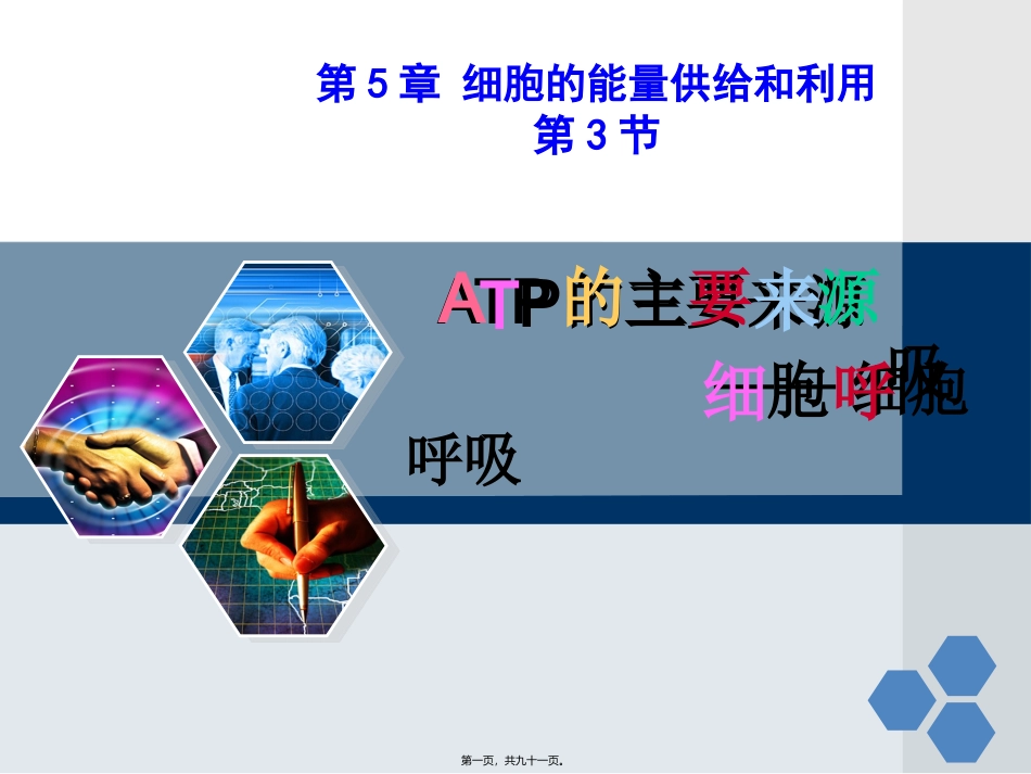 ATP的主要来源——细胞呼吸一轮复习_第1页
