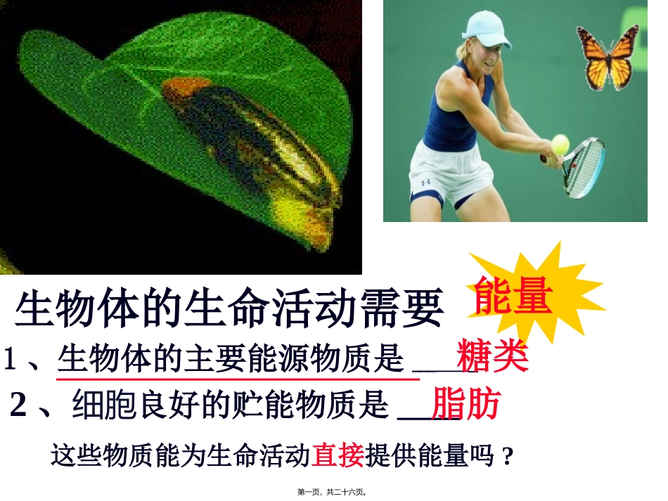 ATP-细胞的能量通货ppt_第1页