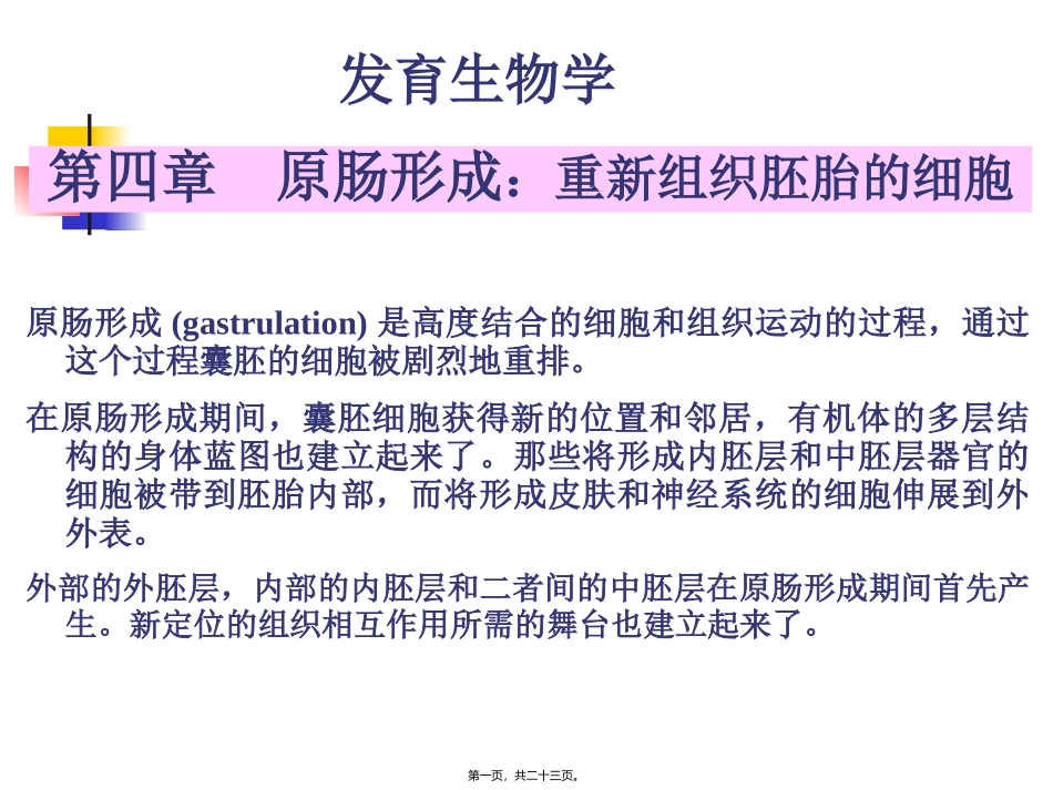 A-第4章--原肠形成_第1页