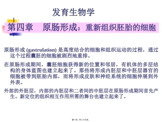 A-第4章--原肠形成