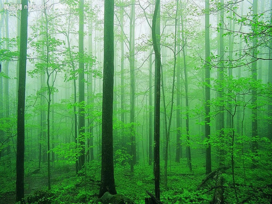 2017年森林防火主题班会(完美版)_第2页