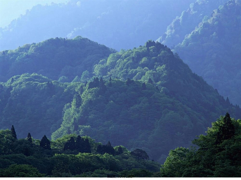 2017年森林防火主题班会(完美版)_第3页