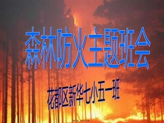 2017年森林防火主题班会(完美版)