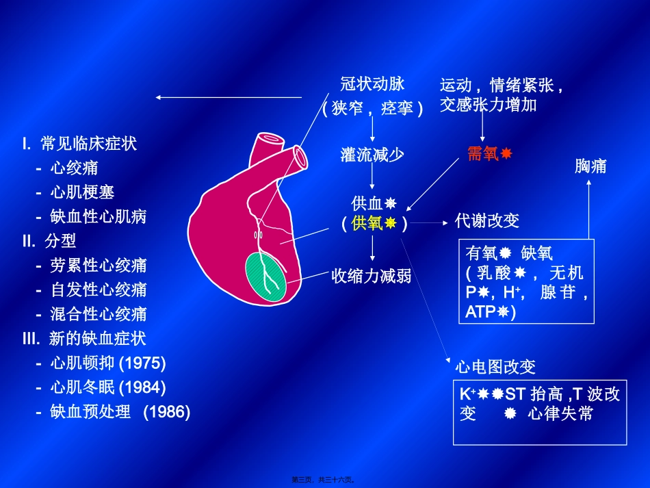 A抗心绞痛药_第3页