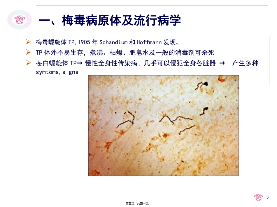 a-妊娠合并梅毒_第3页