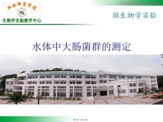 B-02-水体中大肠菌群测定资料