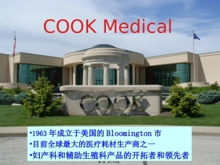 BAKRI子宫填塞球囊导管