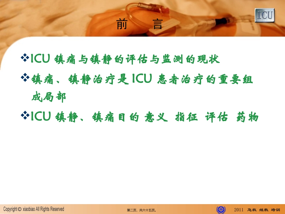 ICU镇静镇痛指南_第2页