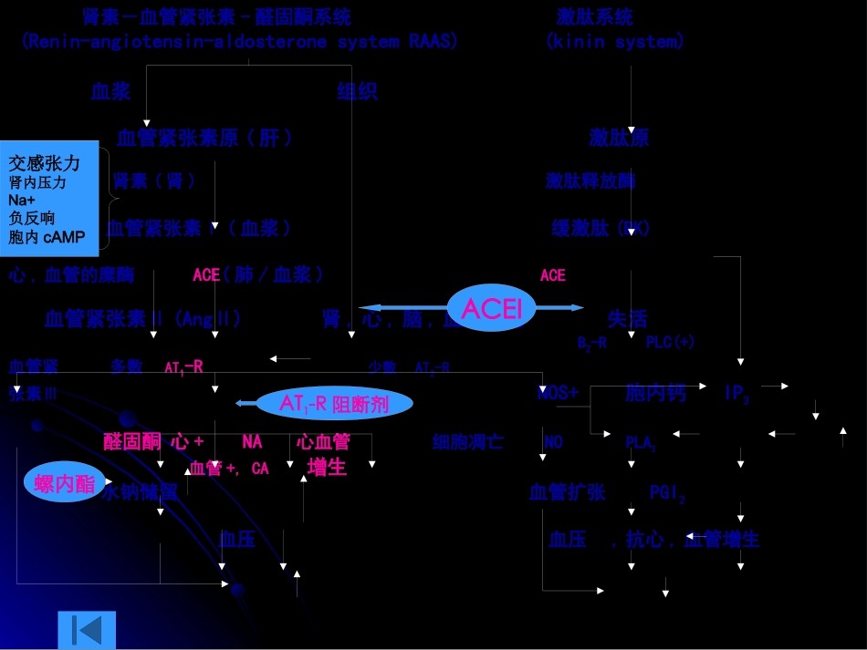 RASS系统药理_第3页
