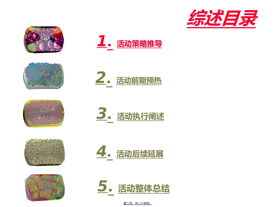 rio校园活动提案20120425_第2页