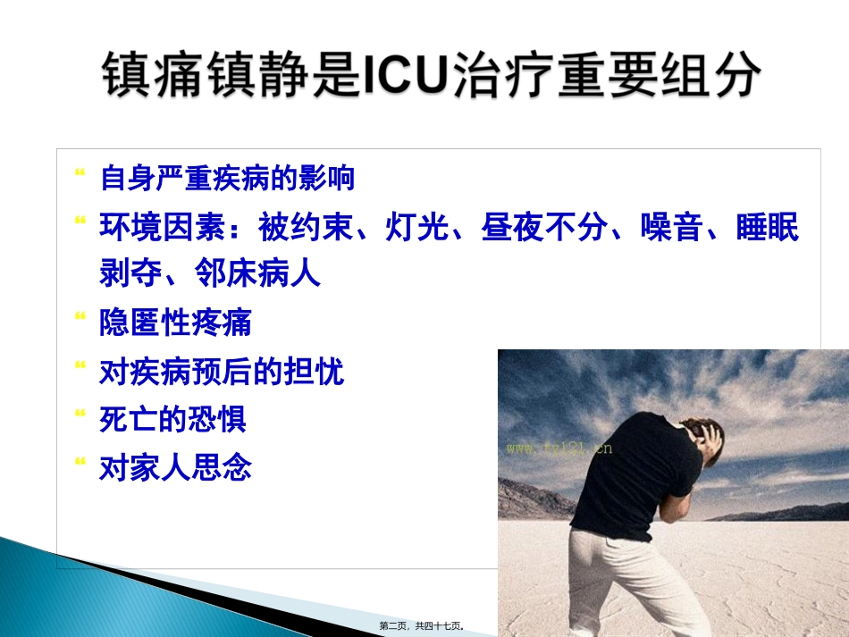 ICU镇痛镇静指南2012_第2页