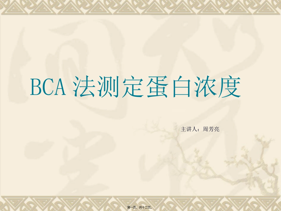 BCA法测蛋白1_第1页