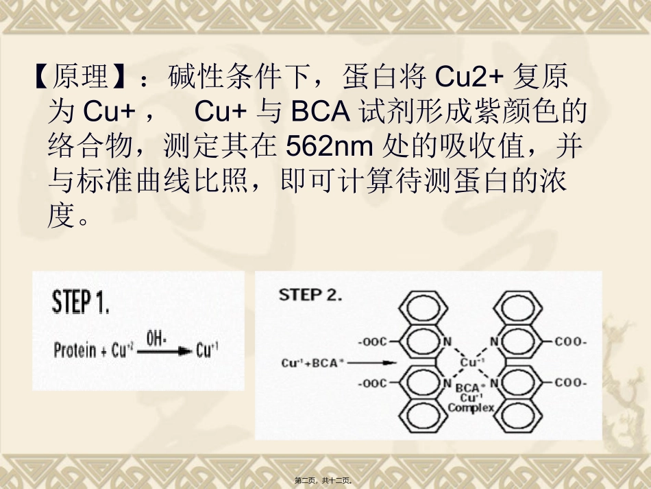 BCA法测蛋白1_第2页