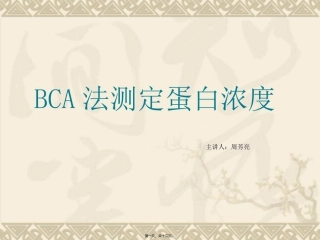 BCA法测蛋白1