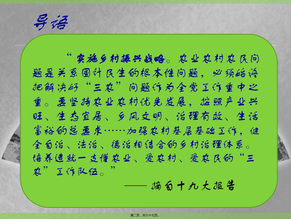 2018全面提升基层组织力--为乡村振兴建强战斗堡垒_第2页
