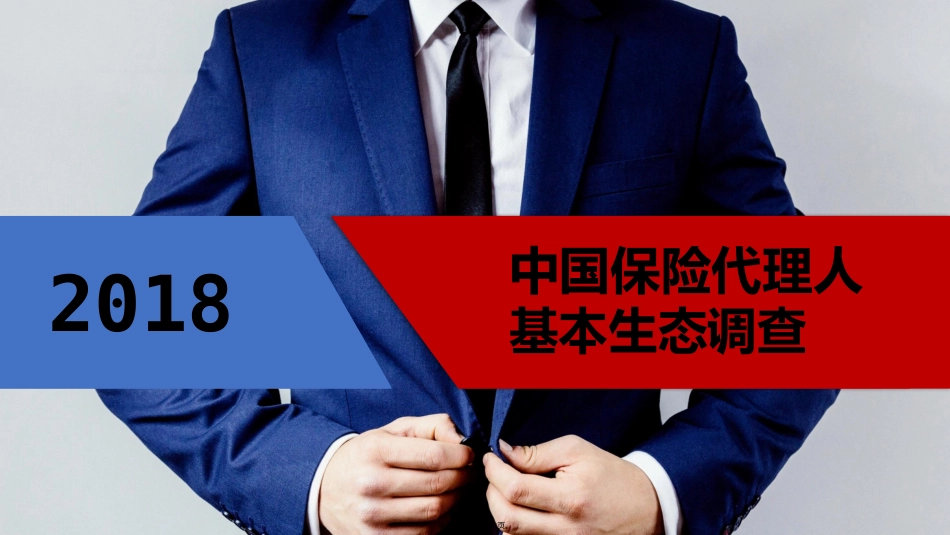 2018中国保险代理人基本生态调查_第1页