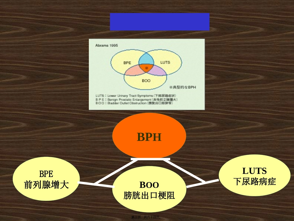 BPH的诊疗指南_第3页