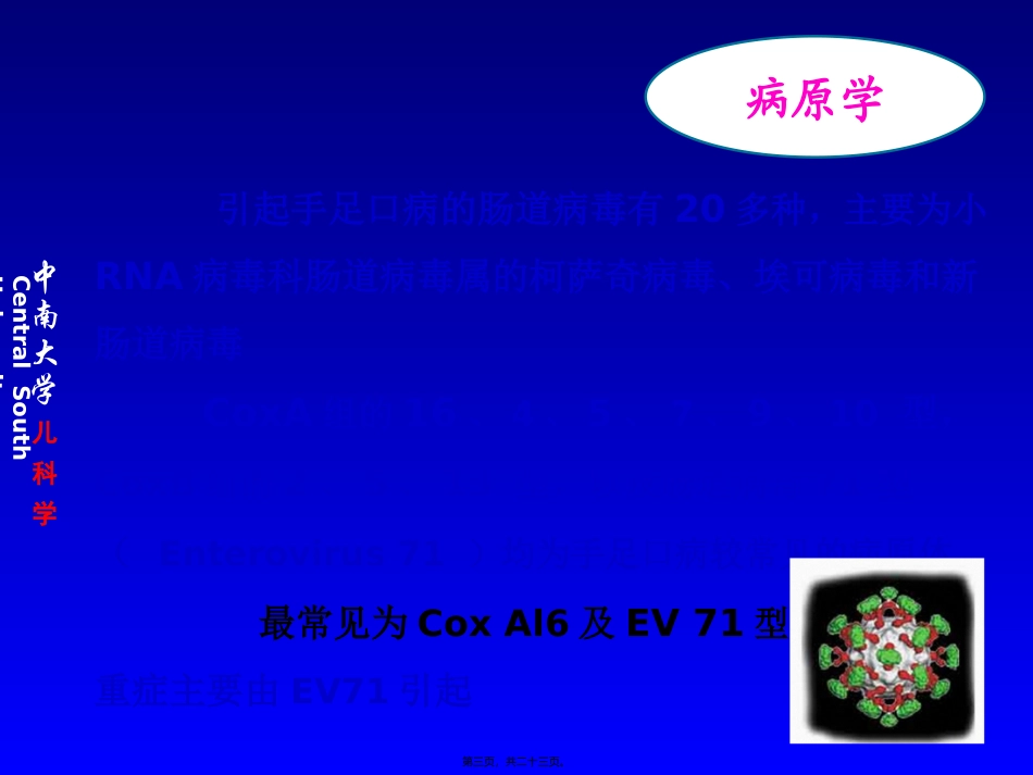 2019年最新-手足口病-12年宣传讲义-PPT精品文档-精选文档_第3页