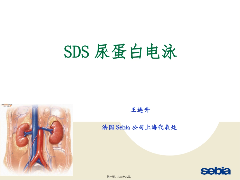 SDS尿蛋白及本周氏电泳的意义_第1页