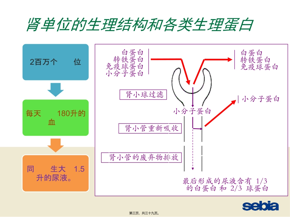 SDS尿蛋白及本周氏电泳的意义_第3页