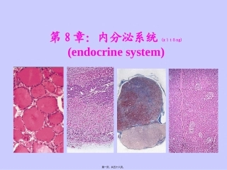 2022年医学专题—组织学与胚胎学-第八章---内分泌系统---new