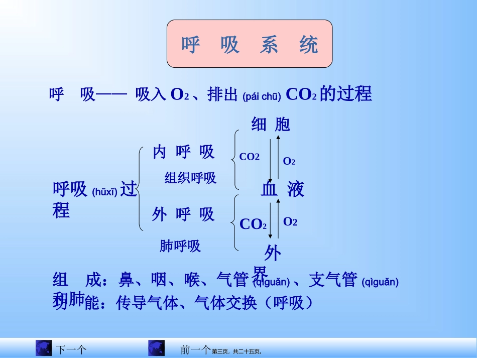2022年医学专题—组织学与胚胎学-呼吸系统_第3页